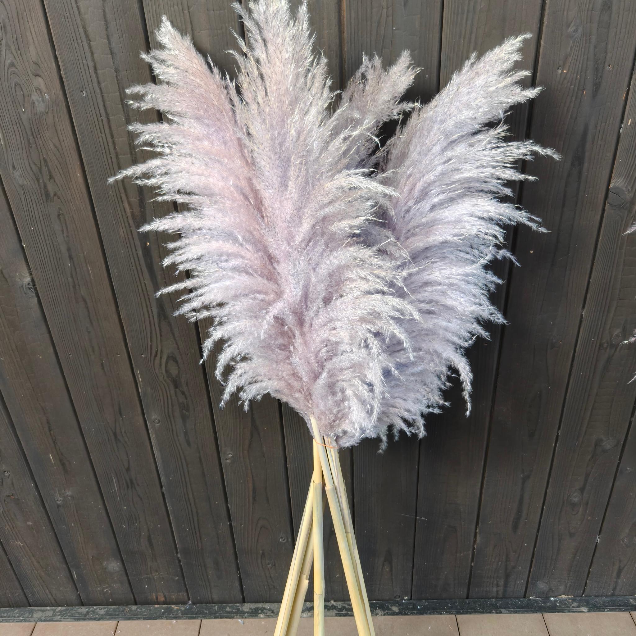 今季！グレージュ、ニュアンスカラーのパンパスグラス  開店祝い ドライフラワーインテリア ウェディング大人クリスマス | 5枚目